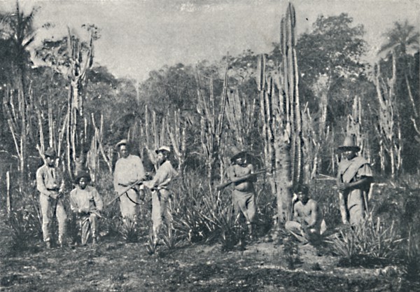 'Campos', 1895. Artist: Francisco Henszler.