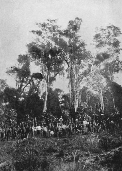 'Matta Virgem', 1895. Artist: Axel Frick.
