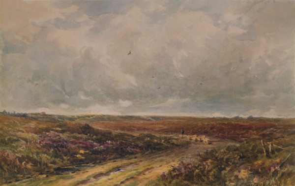 'Stormy Day on a Surrey Common', 19th-20th century, (1935). Artist: John Jessop Hardwick.