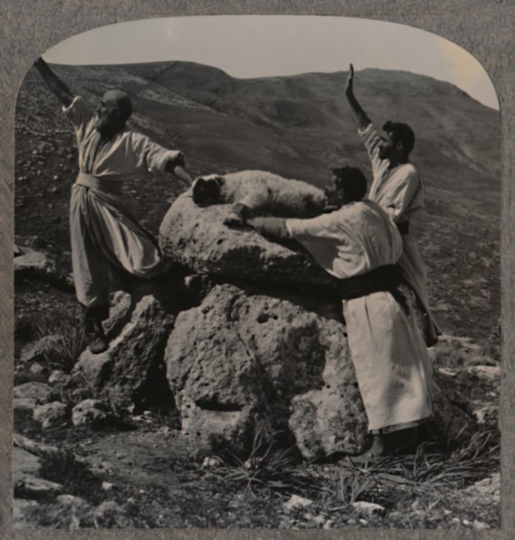 'Offering sacrifice of lamb on Altar, Moreh', c1900. Artist: Unknown.