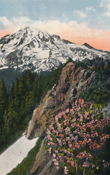 'The Primrose on Mount Rainier', c1916. Artist: Asahel Curtis.