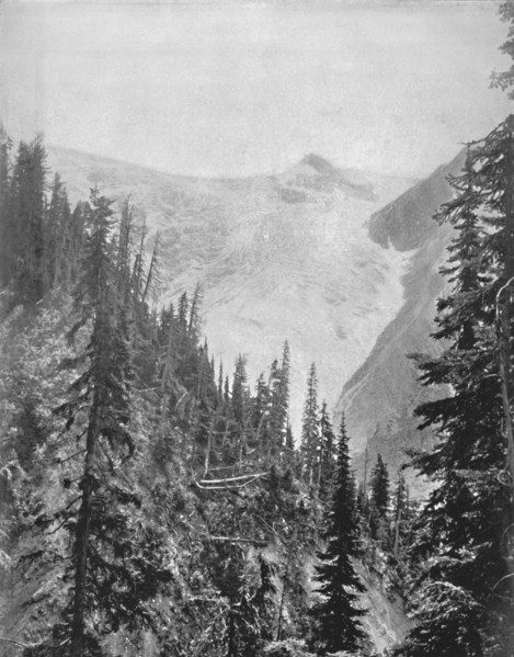 'The Illicilliwaet Glacier', 19th century. Artist: Unknown.