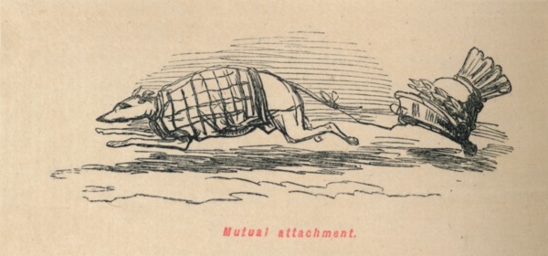 'Mutual attachment', 1852. Artist: John Leech.