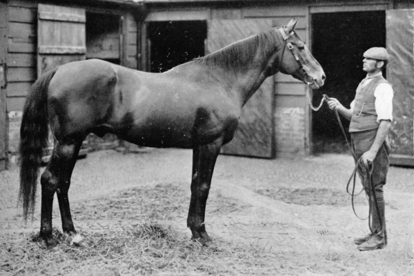 'Foxhall', 1880-1904, (1911). Artist: Unknown.
