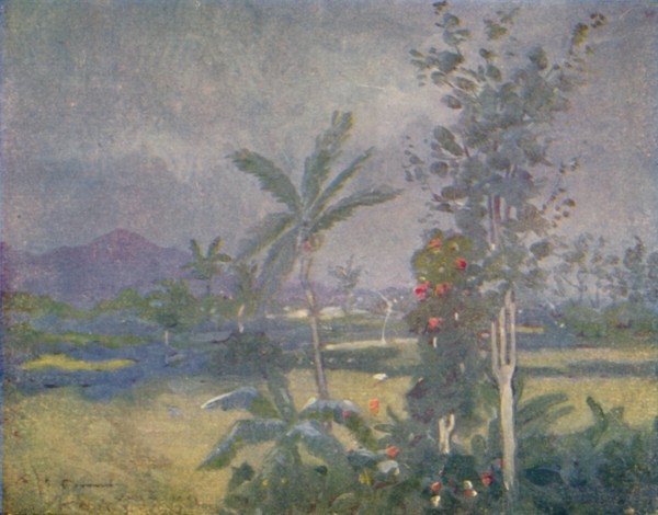 'Tropical Rains in the West Indies', 1924. Artist: Unknown.