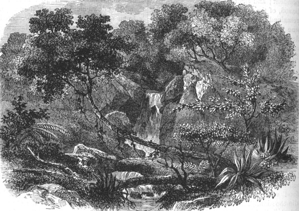 'New Zealand Landscape', c1880. Artist: Unknown.