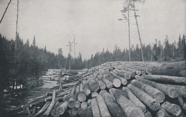 'Lumbering', 1924. Artist: Unknown.