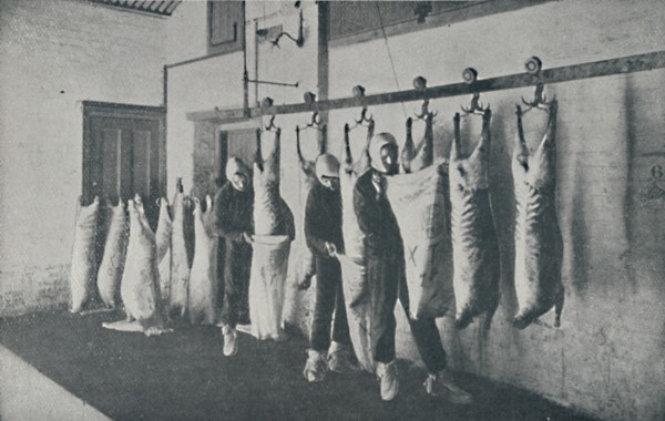 'Frozen Meat', 1910. Artist: Unknown.