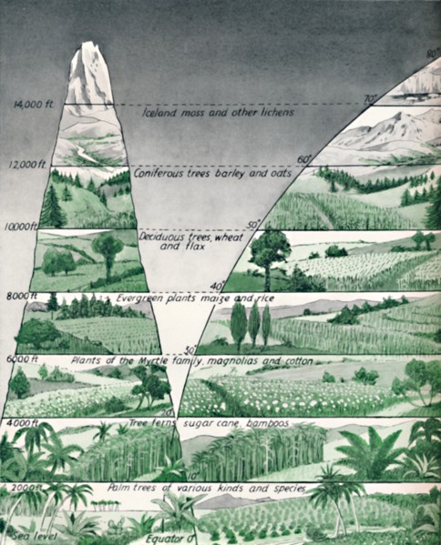 'The Different Zones of Vegetation', 1935. Artist: Unknown.