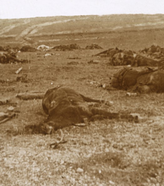 After the charge, Beauséjour, northern France, c1914-c1918. Artist: Unknown.