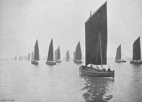 'Herring Boats Off the Tyne', c1896. Artist: M Aunty.
