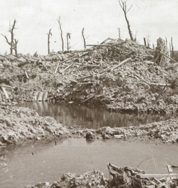 Banks of the River Yser, Diksmuide, Belgium, c1914-c1918. Artist: Unknown.