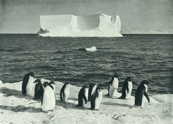 'A Berg Drifting in McMurdo Sound', c1910?1913, (1913).  Artist: Herbert Ponting.