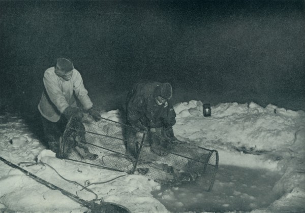 'Dr. Atkinson and Clissold Hauling Up The Fish-Trap', 28 May 1911, (1913). Artist: Herbert Ponting.