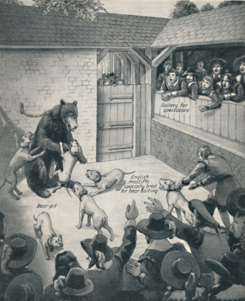 'Bear-Baiting in a Stuart Bear Pit', c1934. Artist: Unknown.