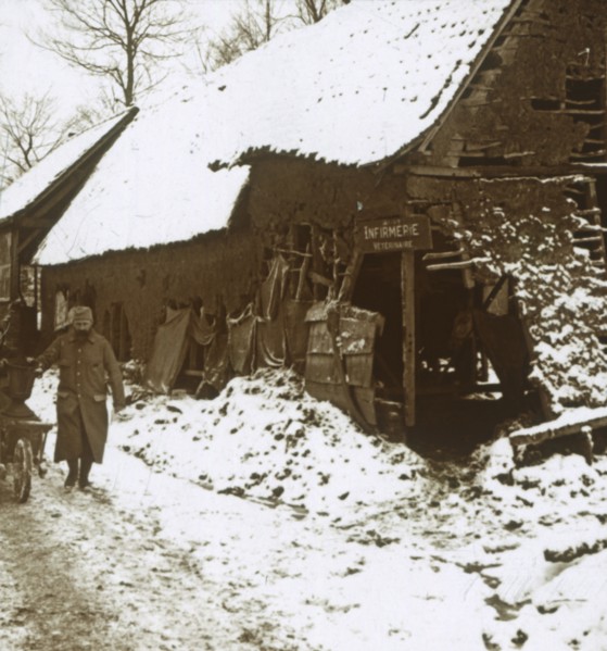Veterinary station for horses, Calonne, northern France, c1914-c1918. Artist: Unknown.