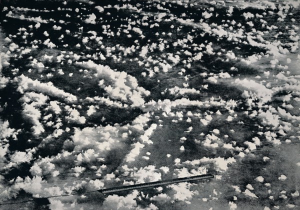 'Ice Flowers on Newly Formed Sea Ice', 1912, (1913). Artist: Frank Debenham.