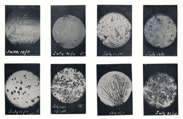 'Ice Crystals in Crevasse', June-July 1911, (1913). Artist: Charles S Wright.