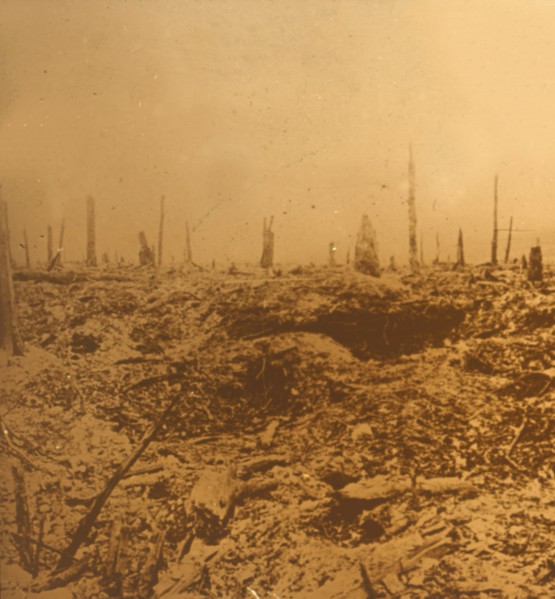 Bois du Chapitre, Vaux, northern France, c1914-c1918. Artist: Unknown.