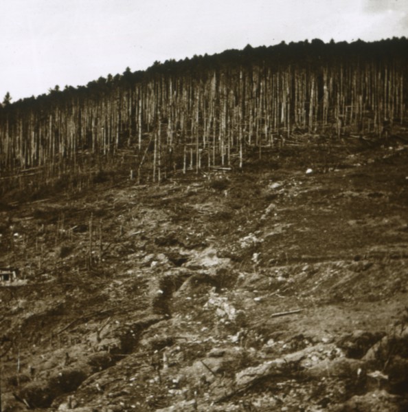 Alsace, c1914-c1918. Artist: Unknown.