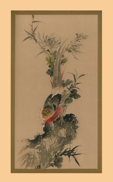 Pheasant, 1832, (1886).  Artist: Witherby & Co.