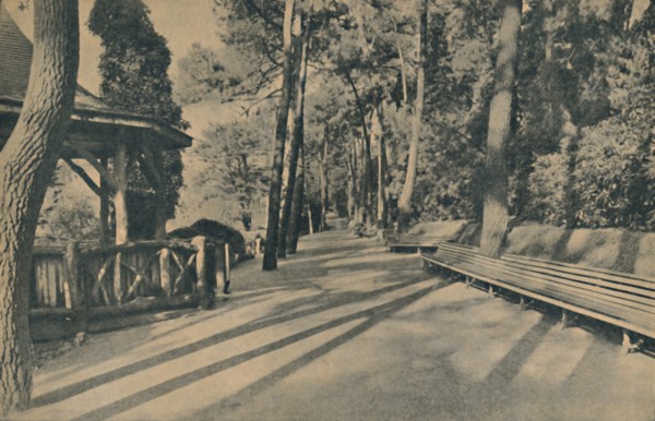 'The Pine Walk', 1929. Artist: Unknown.