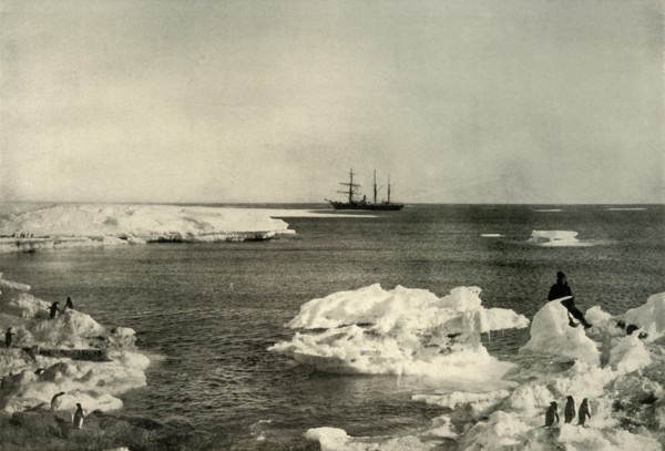 'The Nimrod Lying Off The Penguin Rookery', c1908, (1909).  Artist: Unknown.