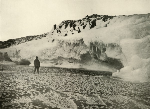 'Ice Flowers on Newly Formed Sea Ice Early in the Winter', c1908, (1909).  Artist: Unknown.