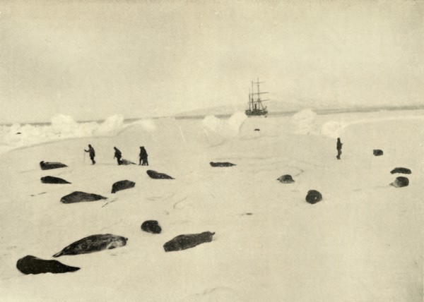 'The Nimrod at Pram Point on March 4, 1909'. Artist: Unknown.