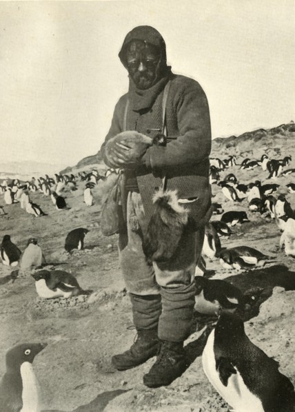 'Murray Holding Young Penguins', c1908, (1909).  Artist: Unknown.