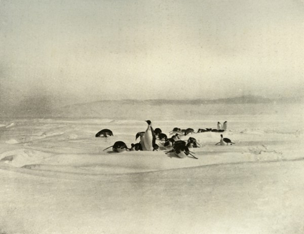 'Emperors Tobogganning', c1908, (1909). Artist: Unknown.