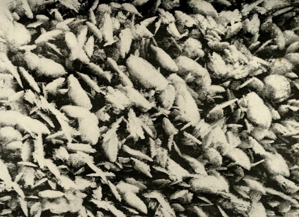 'Ice Crystals on roof of the Hut Porch', c1908, (1909). Artist: Unknown.
