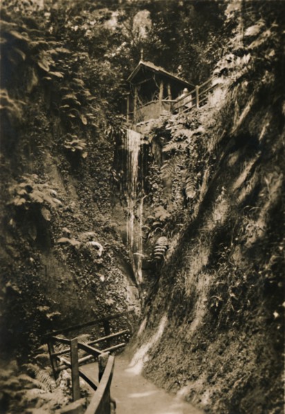 'Shanklin Chine, I.W.', c1920. Creator: Unknown.