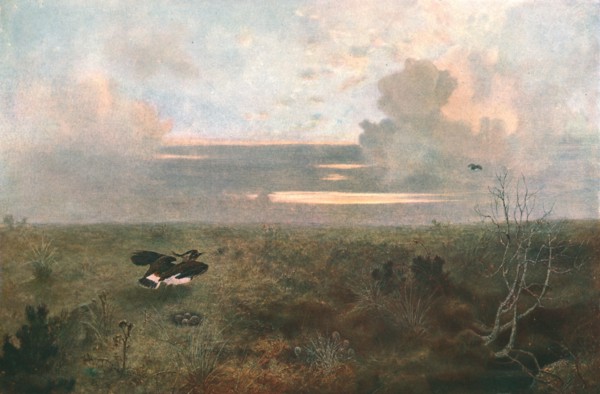 'Disturbed: A Plover Rising from Its Nest, 1879, (c1902).  Creator: Unknown.