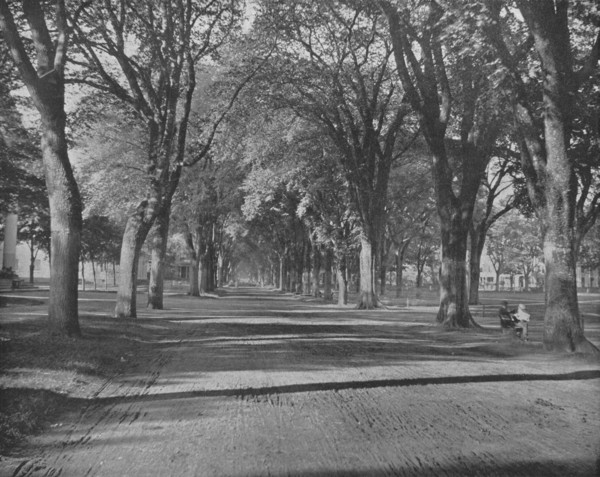 'The Elms', New Haven, Connecticut, USA, c1900.  Creator: Unknown.