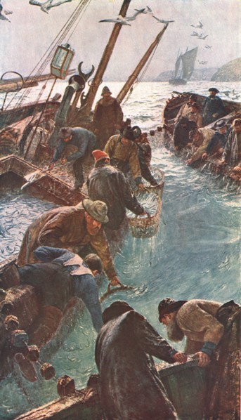 'How We Caught the Pilchards', 1895, (c1902). Creator: Unknown.