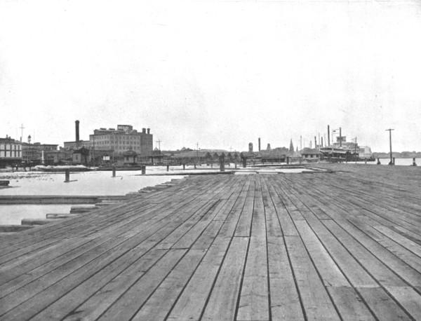 Levee and Steamboat Landing, New Orleans, Louisiana, USA, c1900. Creator: Unknown.