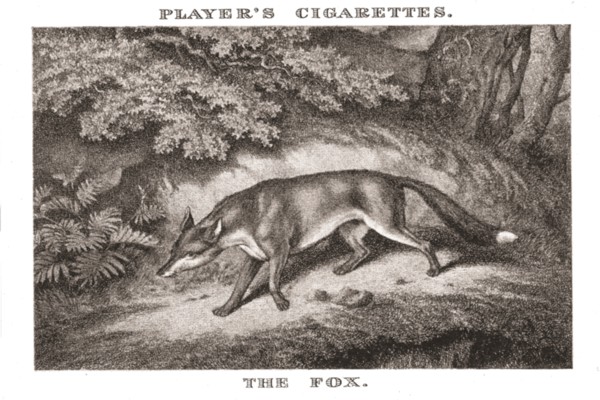'The Fox', (1924). Creator: Unknown.