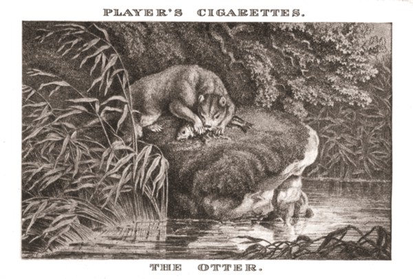 'The Otter', (1924). Creator: Unknown.