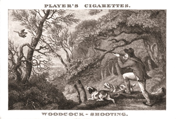 'Woodcock-Shooting', (1924). Creator: Unknown.