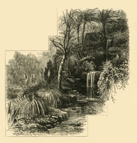 'The Tropical Gardens, Battersea Park', (c1878). Creator: Unknown.