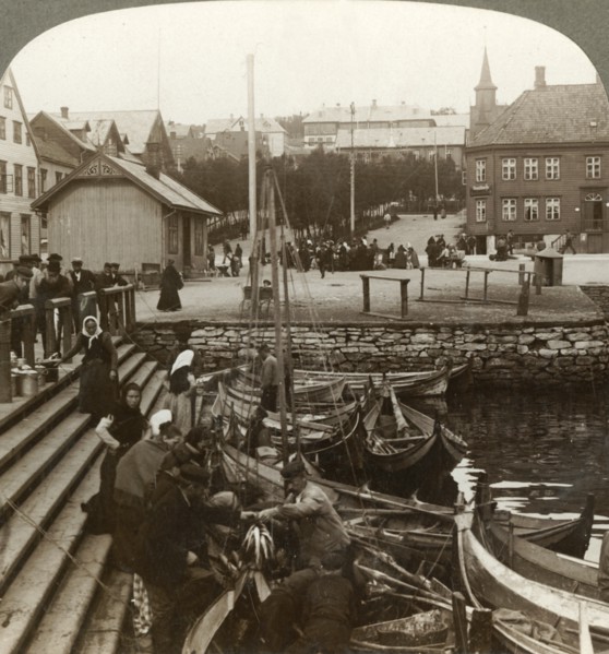'Buying fish in a busy Arctic trading port, Tromsoe (69° 38' N. Lat.), Northern Norway', 1902. Creator: Unknown.