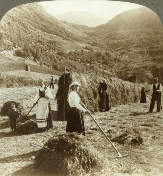 'A farmer's family making hay in a sunny field between the mountains, Roldal, Norway', c1905. Creator: Unknown.