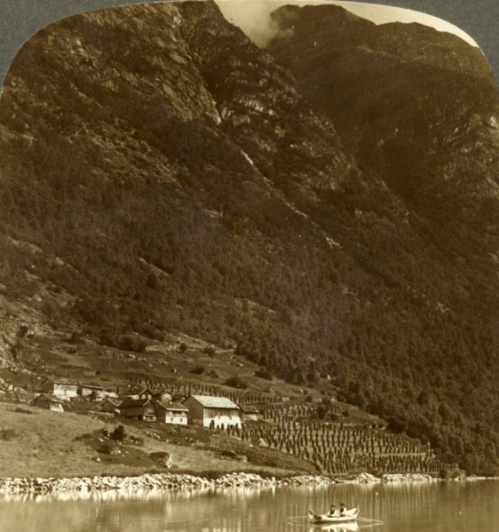 'Hogrending farm, nestling at the mountain's base, on the E. shore of Lake Loen, Norway', c1905. Creator: Unknown.