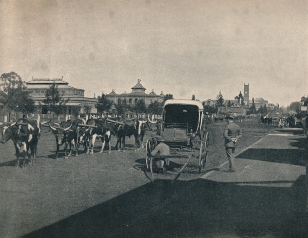 'Pietermaritzburg', c1900. Creator: Unknown.