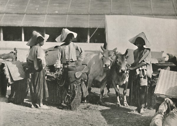 'Caravan Scene with Shans at Bhamo', 1900. Creator: Unknown.