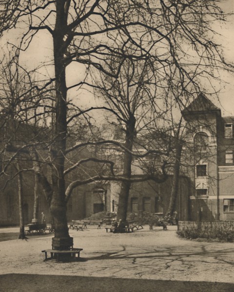'Under the Elms in the Courtyard of Middlesex Hospital', c1935. Creator: Joel.