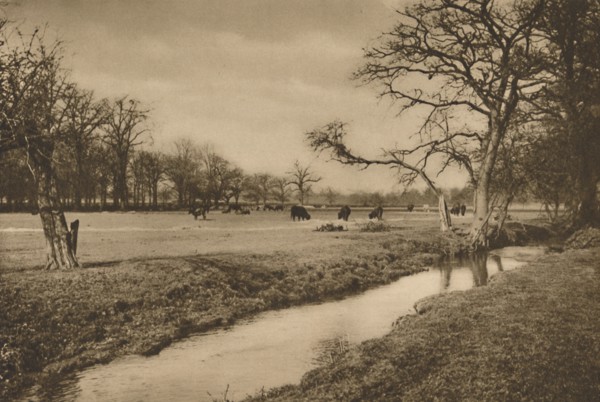'Where Beverley Brook Winds Through The Royal Hunting Park of Richmond', c1935. Creator: Joel.