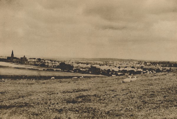 'Resting Sheep in the Pastures of North London: A View of Hampstead Garden Suburb', c1935. Creator: Langfier.
