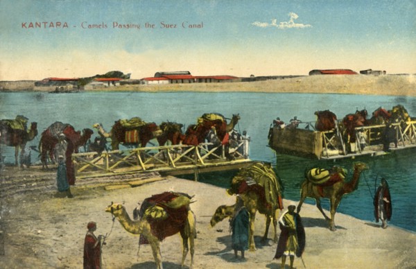 'Kantara - Camels passing the Suez Canal', c1918-c1939. Creator: Unknown.